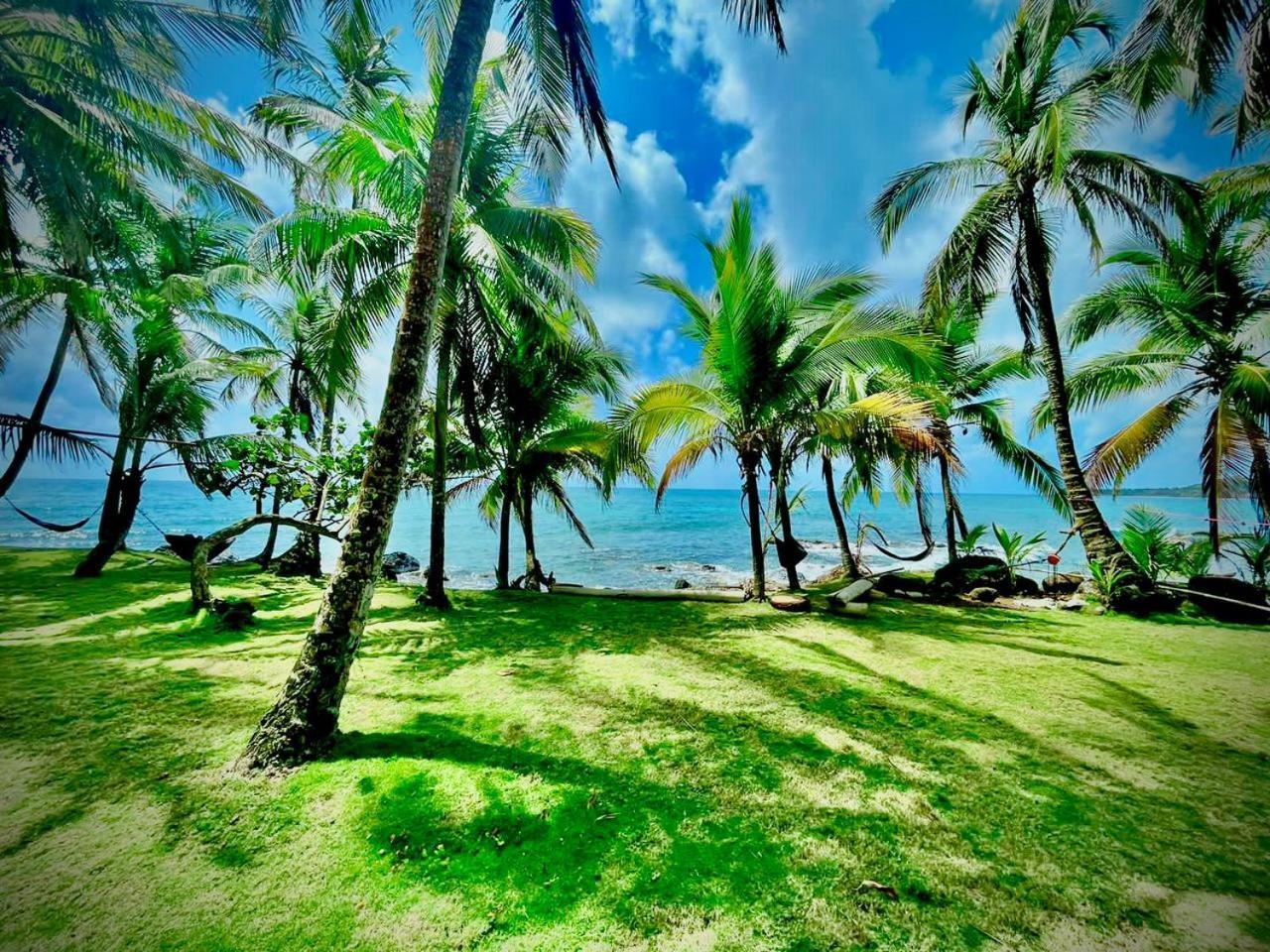 Guesthouse Island Escape South End Екстер'єр фото
