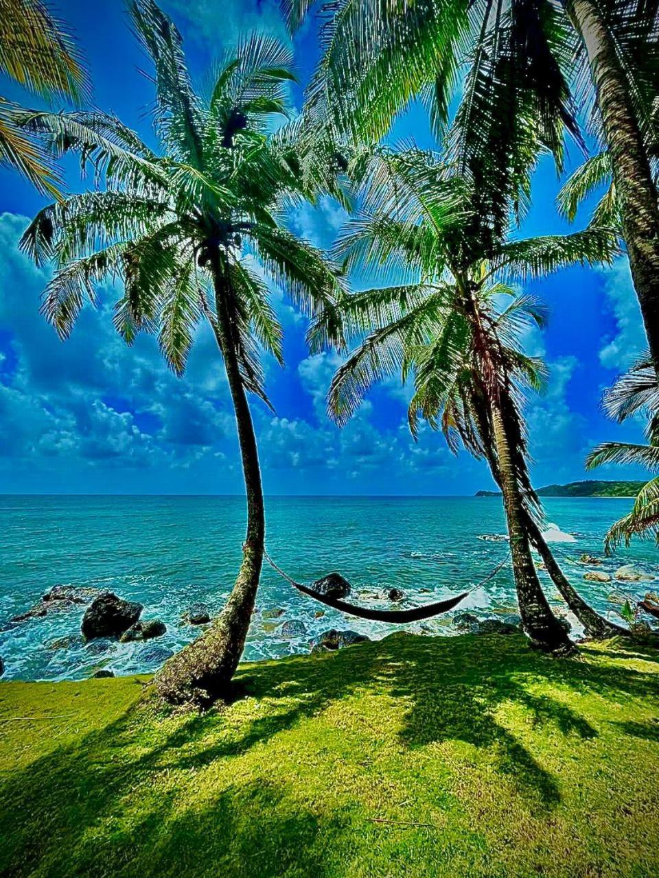 Guesthouse Island Escape South End Екстер'єр фото